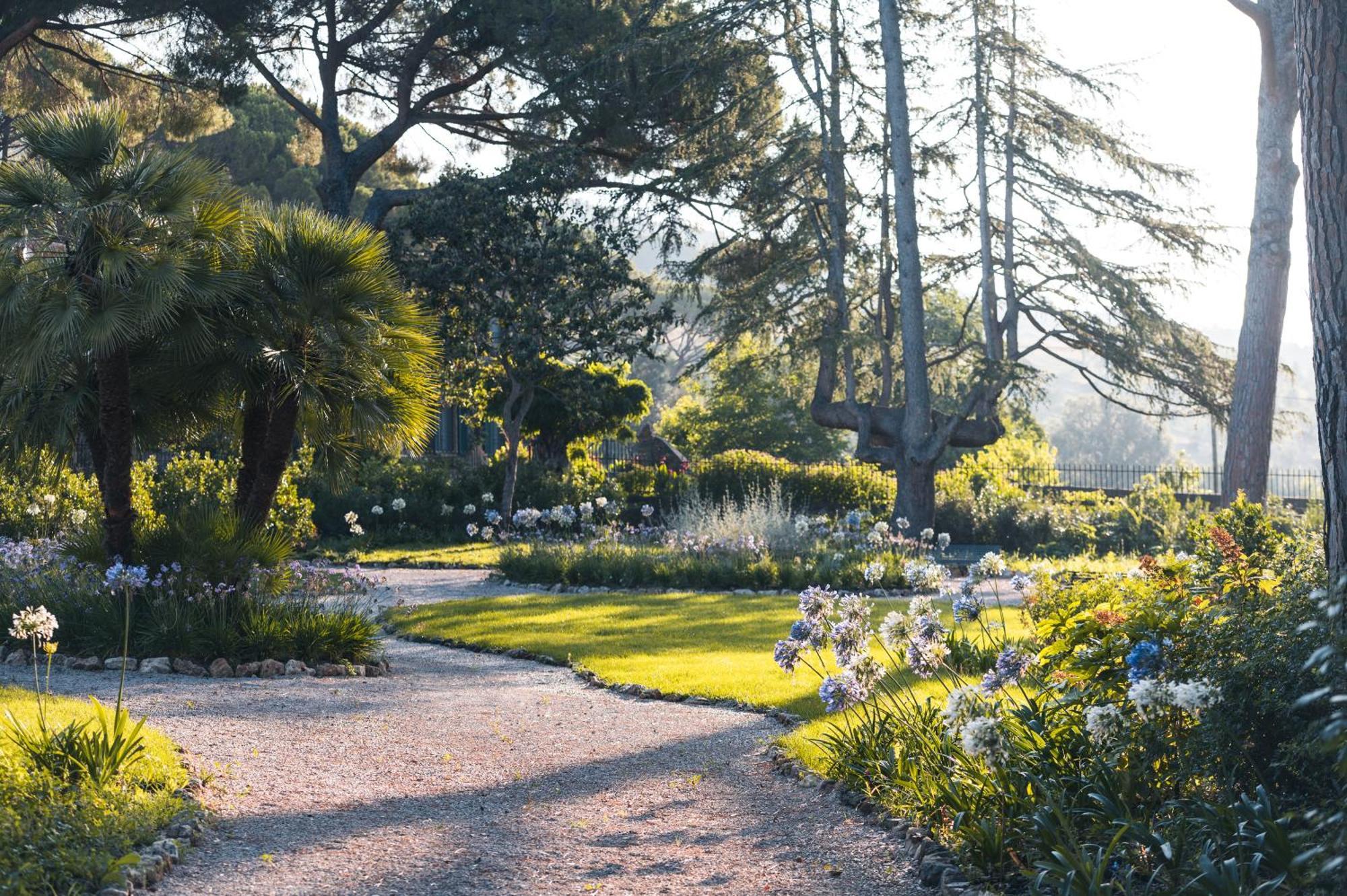 Tenuta Il Cicalino *