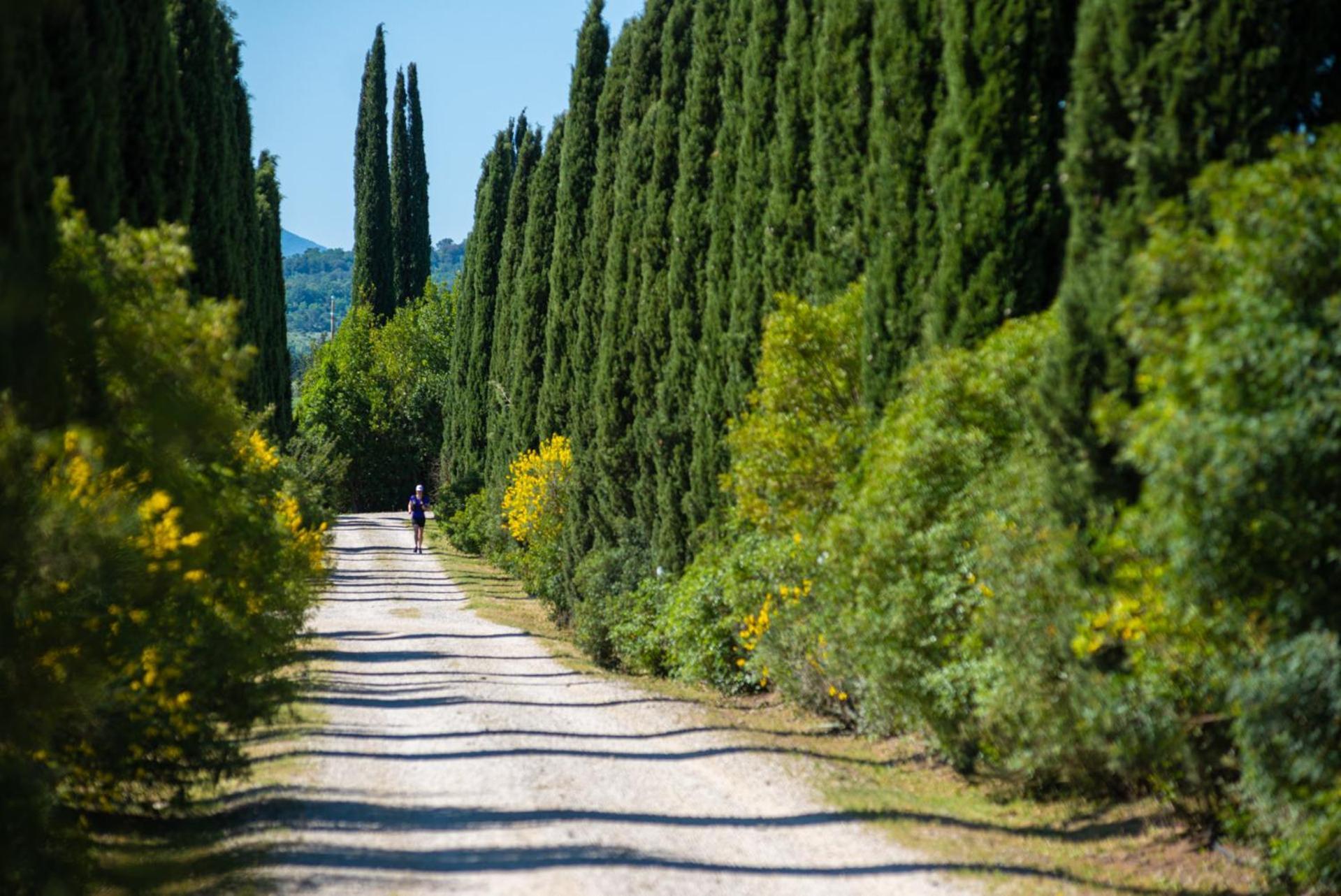 Tenuta Il Cicalino Vakantieboerderij *